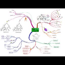 Introduction to Programming with C# / Java Books » Mind Maps on the ...